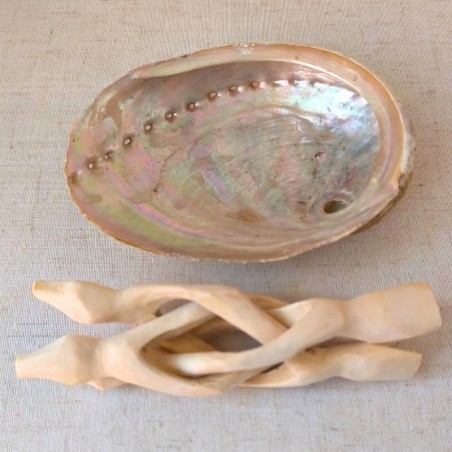 Coquille d'ormeau sur support trépied cobra