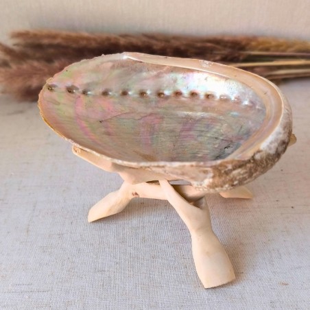 Placez vos pierres dans la coquille après purification pour les recharger en douceur.