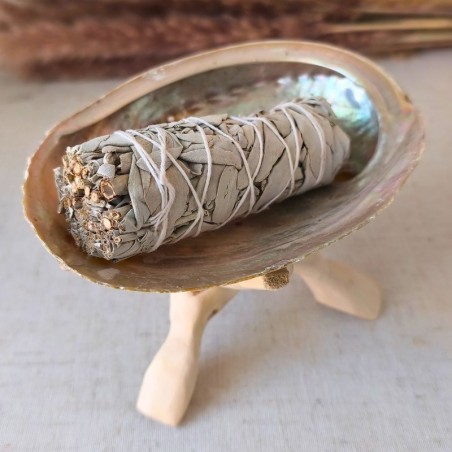 La coquille d’ormeau, aux reflets nacrés, est un réceptacle sacré pour la fumigation