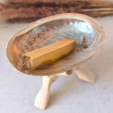 Coquille d’ormeau Haliotis sur trépied cobra – Purification naturelle | Litho Terra