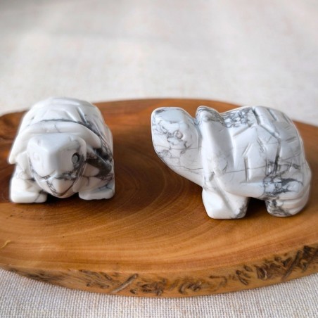 Tortue en Howlite blanche (50 mm, Zimbabwe, qualité A)