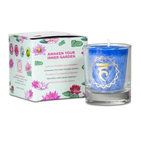 Coffret Cristaux de Tendresse – Angélite et Quartz rose