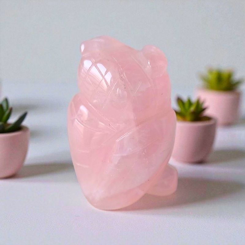 Une chouette naturelle, symbole de douceur et de sagesse.