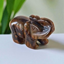 Éléphant sculpté en Œil de tigre – Afrique du Sud (qualité A, 50 mm) 2