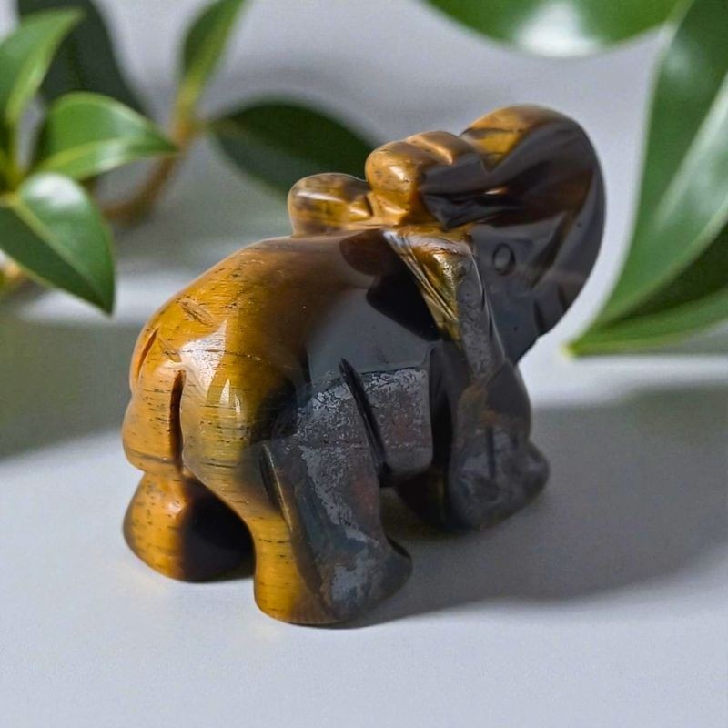 Une pièce unique, symbole de sagesse et de protection.