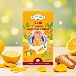 Une tisane bio au curcuma, au gingembre et au citron.