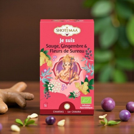 Une infusion réconfortante à la sauge, au gingembre et à la fleur de sureau.