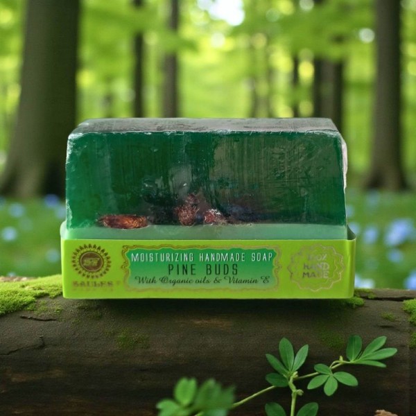 Coffret Découverte Esprit de la Forêt – Pyrite et Agate arbre | Litho Terra