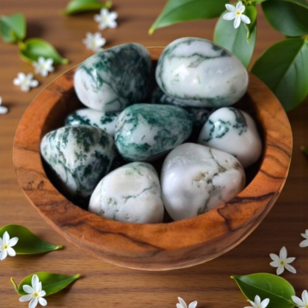 Agate arbre roulée, pierre de sérénité et d’équilibre émotionnel