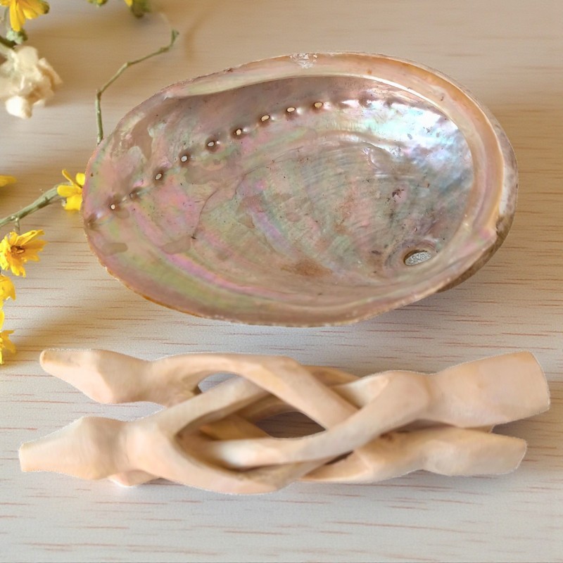 Coquille d’ormeau Haliotis posée sur un trépied en bois naturel