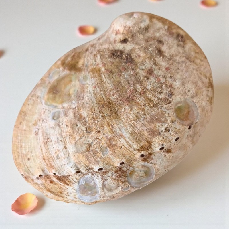 Équilibre des éléments : un rituel symbolique et apaisant pour le corps et l’esprit.