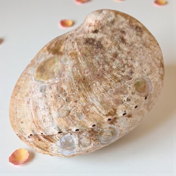 Équilibre des éléments : un rituel symbolique et apaisant pour le corps et l’esprit.