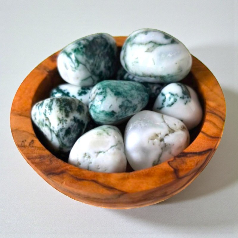 Pierre roulée Agate arbre - Qualité AA 20–30 mm | Litho Terra