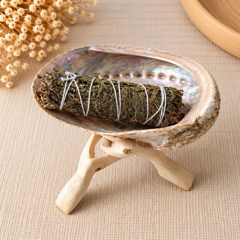 Smudge artisanal de cèdre dans une coquille d'ormeau