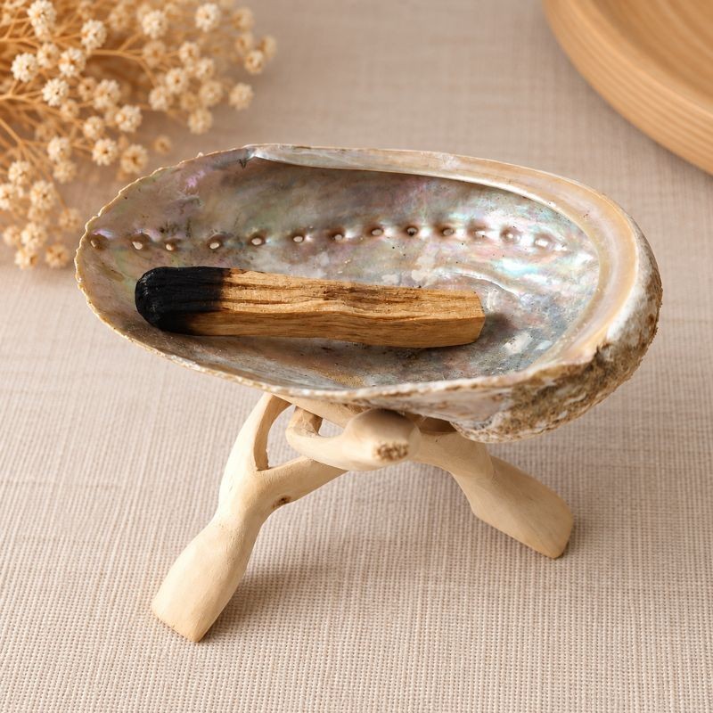 Bâton de Palo Santo dans une coquille d'ormeau