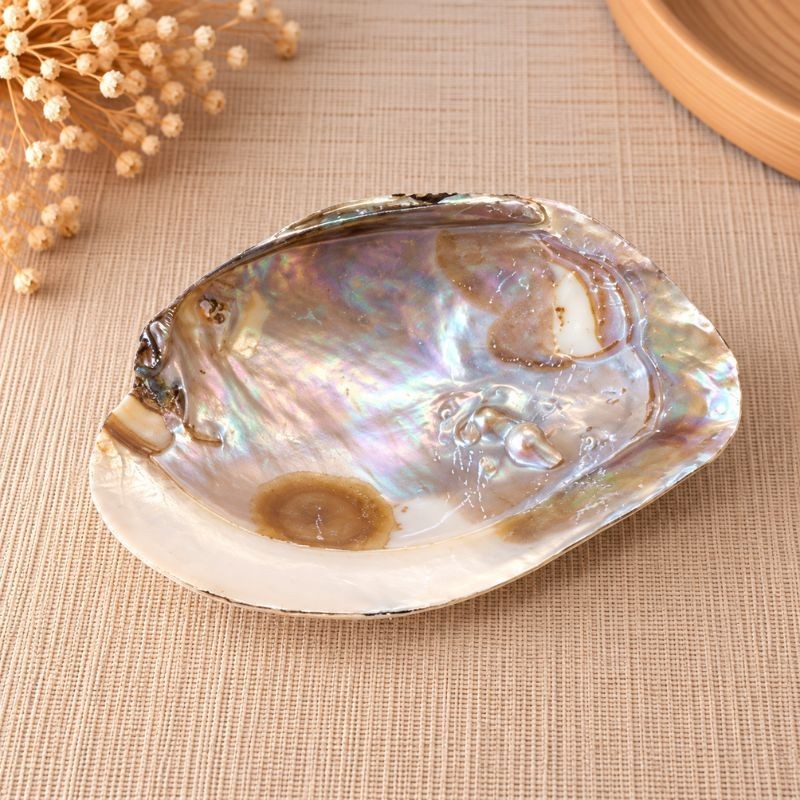 Coquillage en nacre naturelle avec perle – vue intérieure