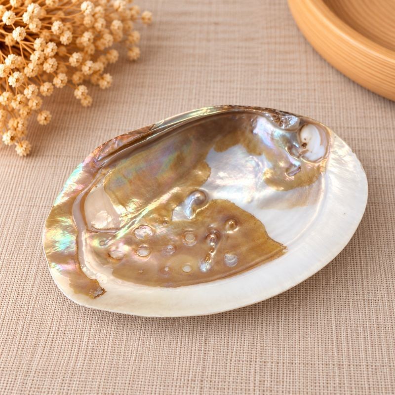 Coquillage en nacre naturelle avec perle – détails et reflets