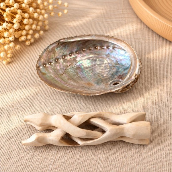 Coquille d’Ormeau Haliotis avec trépied artisanal en bois de peuplier