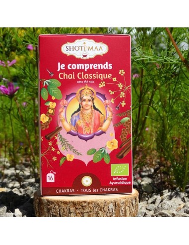 Une infusion bio à la cannelle et au gingembre, inspirée des 7 chakras.