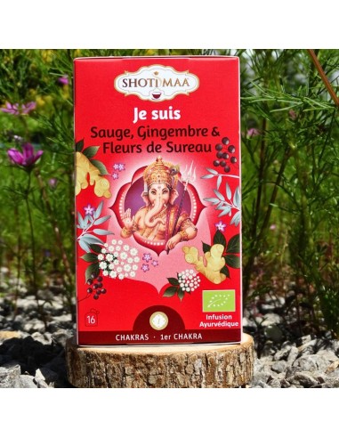 Une infusion bio à la sauge, au gingembre et à la fleur de sureau, liée au 1ᵉʳ chakra.