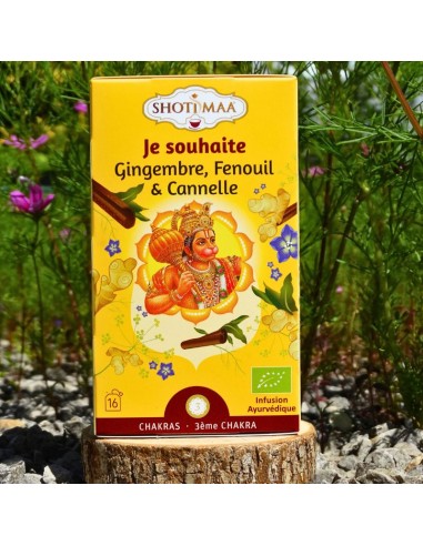 Une infusion bio au gingembre, fenouil et cannelle, liée au 3ᵉ chakra.